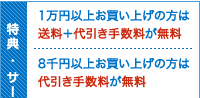 ꂵT[rX